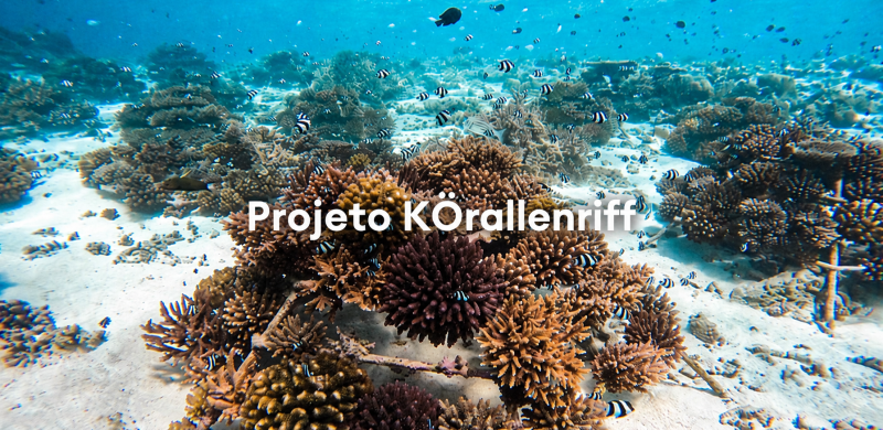 Projeto Korallenriff